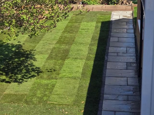 turfing-good-b-kireth-ai